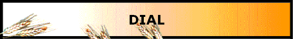 DIAL