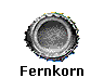 Fernkorn