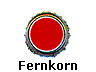 Fernkorn