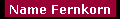 Name Fernkorn